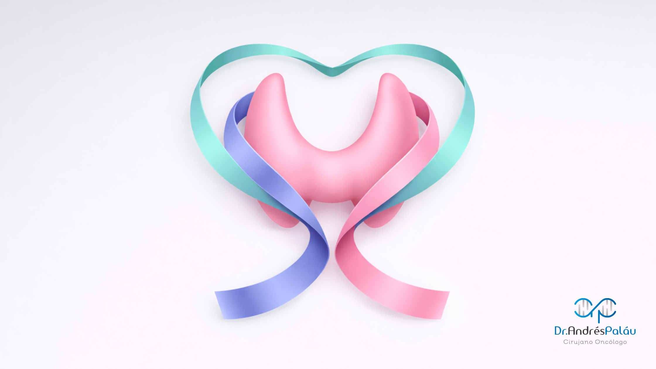 Cáncer de Tiroides - Dr. Andrés Paláu